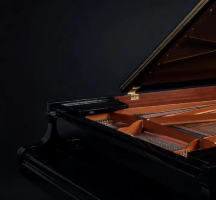 Detale mechanizmu fortepianu koncertowego