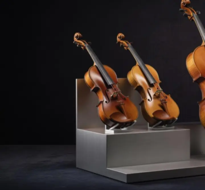 Kolekcja premium instrumentów strunowych w showroomie